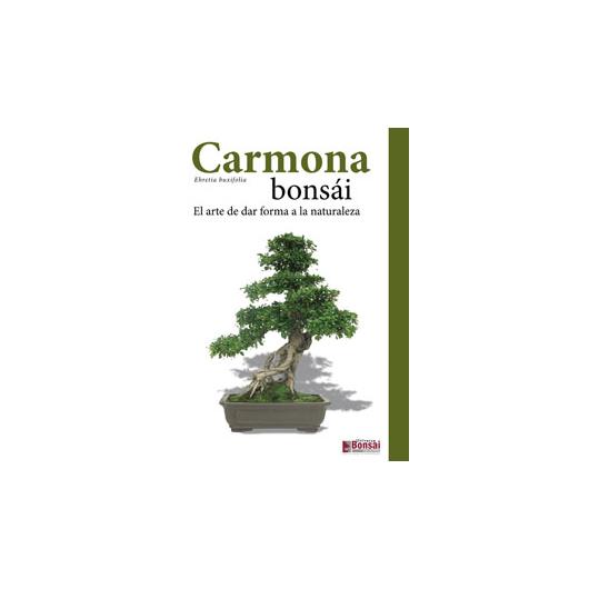 Guía Carmona bonsái