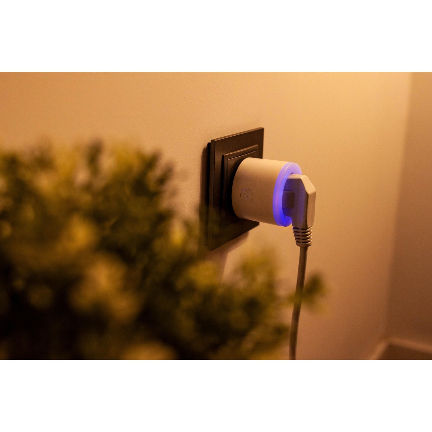 Enchufe Wifi Inteligente Con Luz De Noche Multicolor Y Medidor De Consumo Energeeks