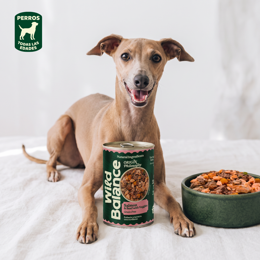Lattina di salmone e manzo BARF per cani Wild Balance 400 g