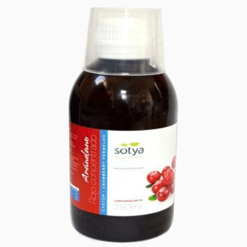 Jugo arándano rojo cocentrado Sotya, 250 ml