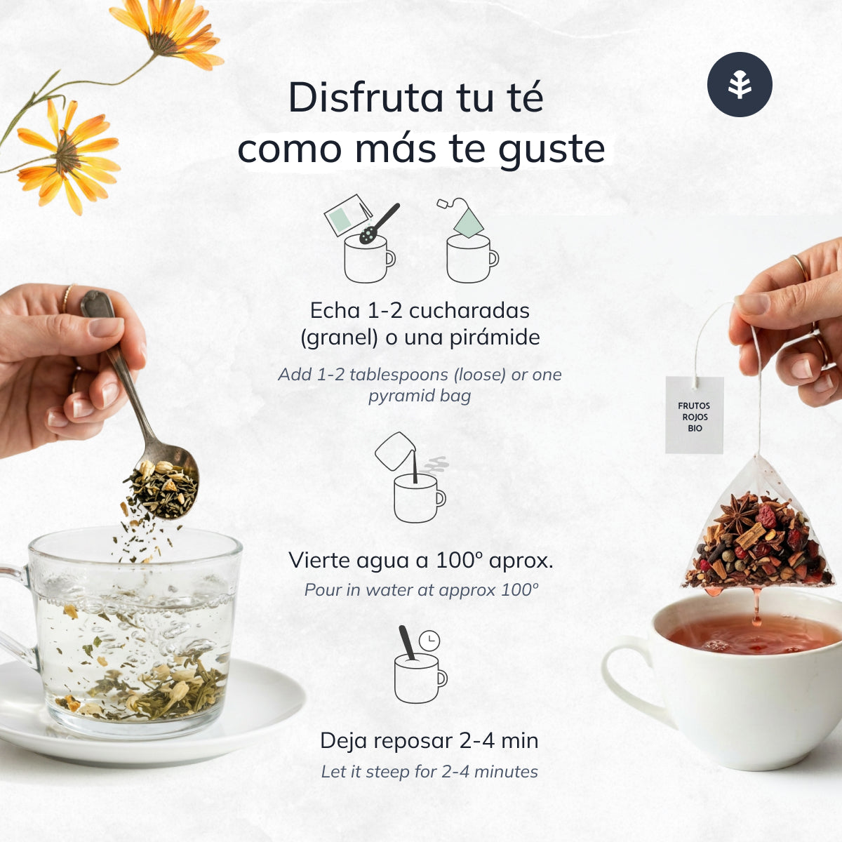 Infuso digestivo ECO Finocchio, menta e liquirizia Planeta Huerto 20 piramidi