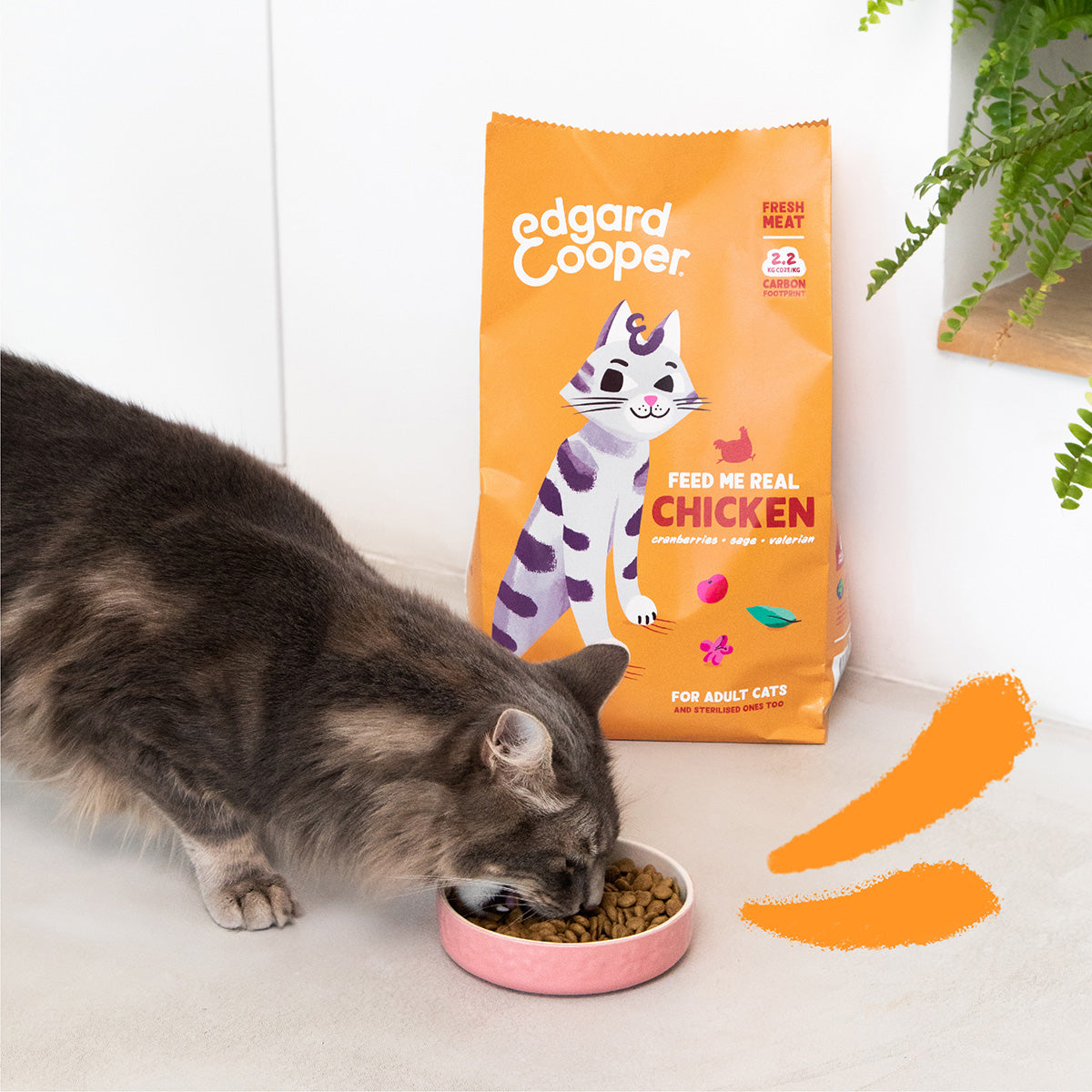 Pienso para gatos Pollo Fresco de Corral Edgard & Cooper 4 Kg