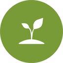 PlantaBo