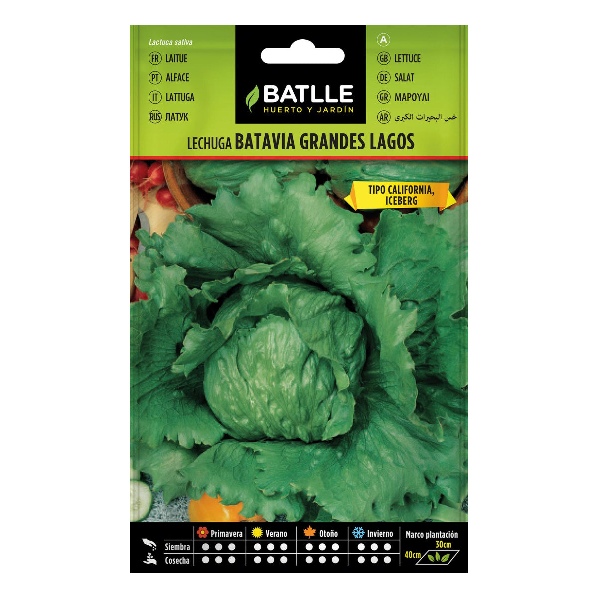 Semillas de Lechuga Grandes Lagos Batlle