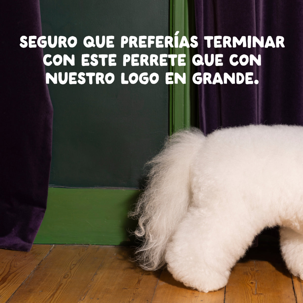 Mangime per cani Pollo ruspante Edgard & Cooper 1 kg
