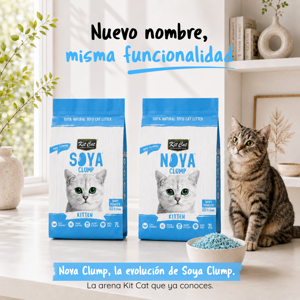 Kit Cat Arena Eco SoyaClump - Kitten Baby Powder 7 L Sabbia per gatti