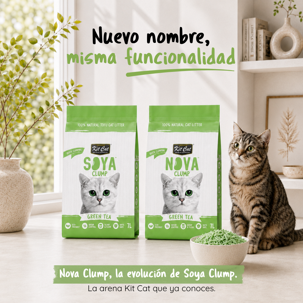 Kit Cat Arena Eco SoyaClump - Green Tea 7 L Sabbia per gatti