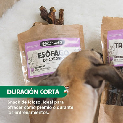 Mordedor natural Esófago de cordero Wild Balance 50 g