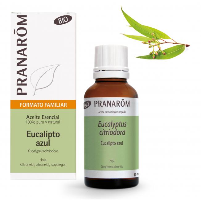 Aceite esencial Eucalipto Azul Hoja Bio Pranarom 30 ml