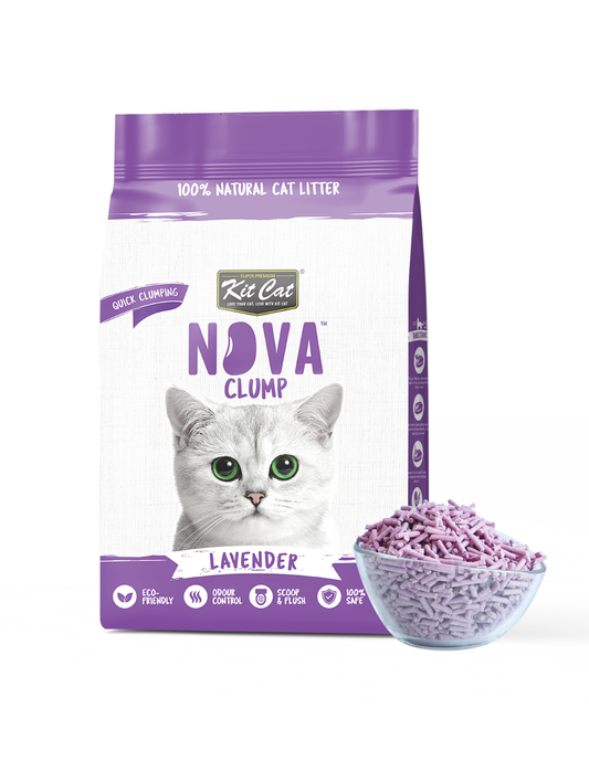 Kit Cat Arena Eco SoyaClump - Lavanda 7 L Sabbia per gatti