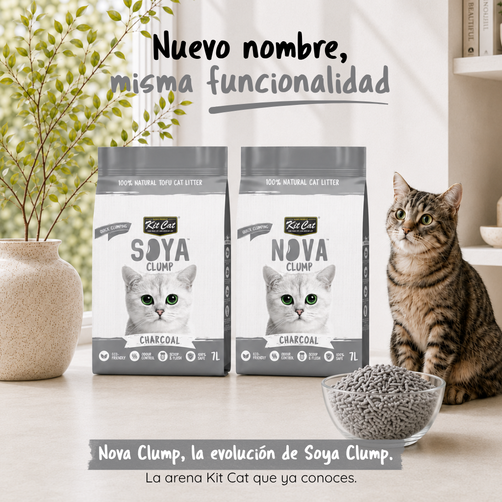 Kit Cat Arena Eco SoyaClump - Charcoal 7 L Sabbia per gatti