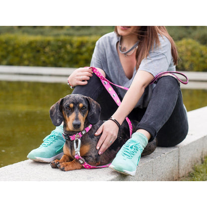 Collar para perro DOGTELLA Dukier L