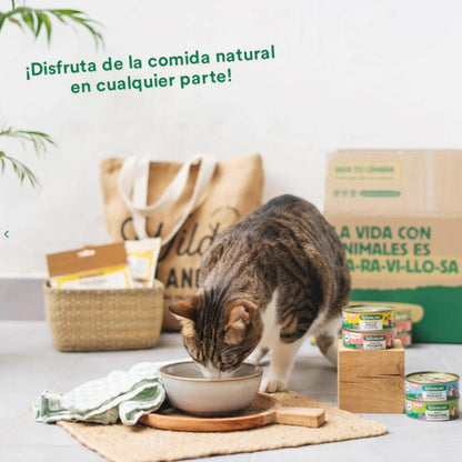 Pack 6x Ragut tradicional de ternera y pollo para gatos 6 x 80 g + Regalo: Tapa reutilizable para latas, Wild Balance