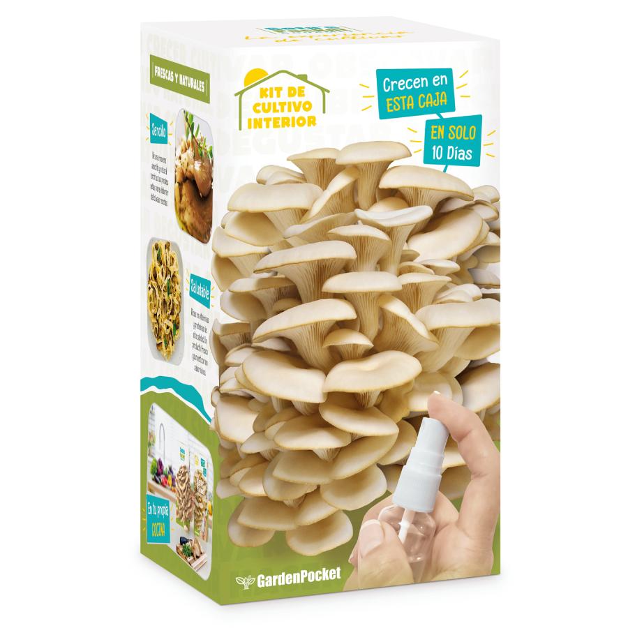 Kit para Plantar Setas Pocket Gourmet en Casa, Ideal Regalo Garden Pocket