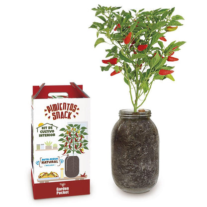 Kit de cultivo interior Pimientos Snack