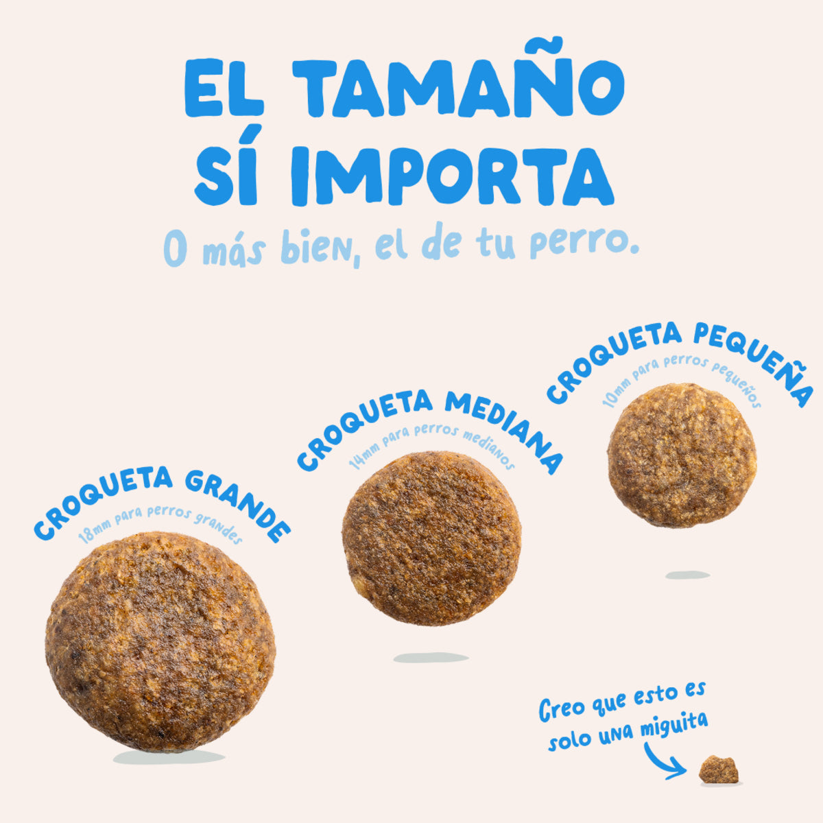 Cibo per cani Salmone Norvegese Edgard & Cooper 1 kg