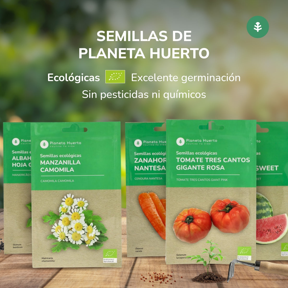 Semillas de Sandía Crimson Sweet ecológicas Planeta Huerto