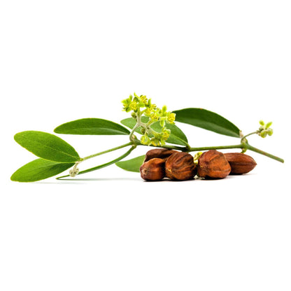 Crema noche Q10 Basis Sensitiv Lavera 50 ml