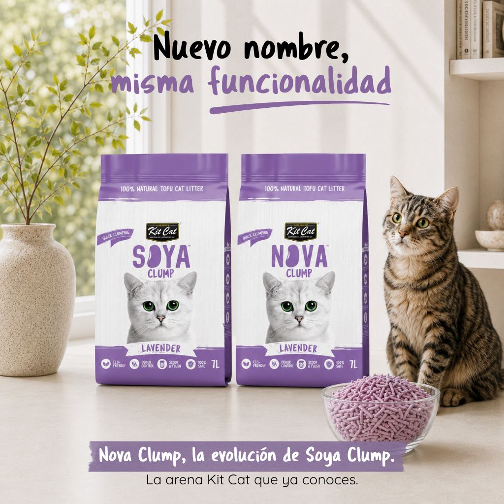Kit Cat Arena Eco SoyaClump - Lavanda 7 L Sabbia per gatti