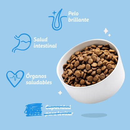 Cibo per cani Salmone Norvegese Edgard &amp; Cooper 1 kg