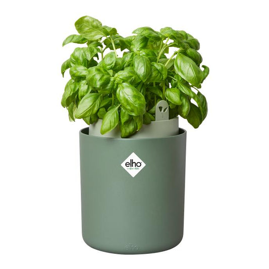 Maceta autoriego aromáticas Bouncy Basil Elho Verde