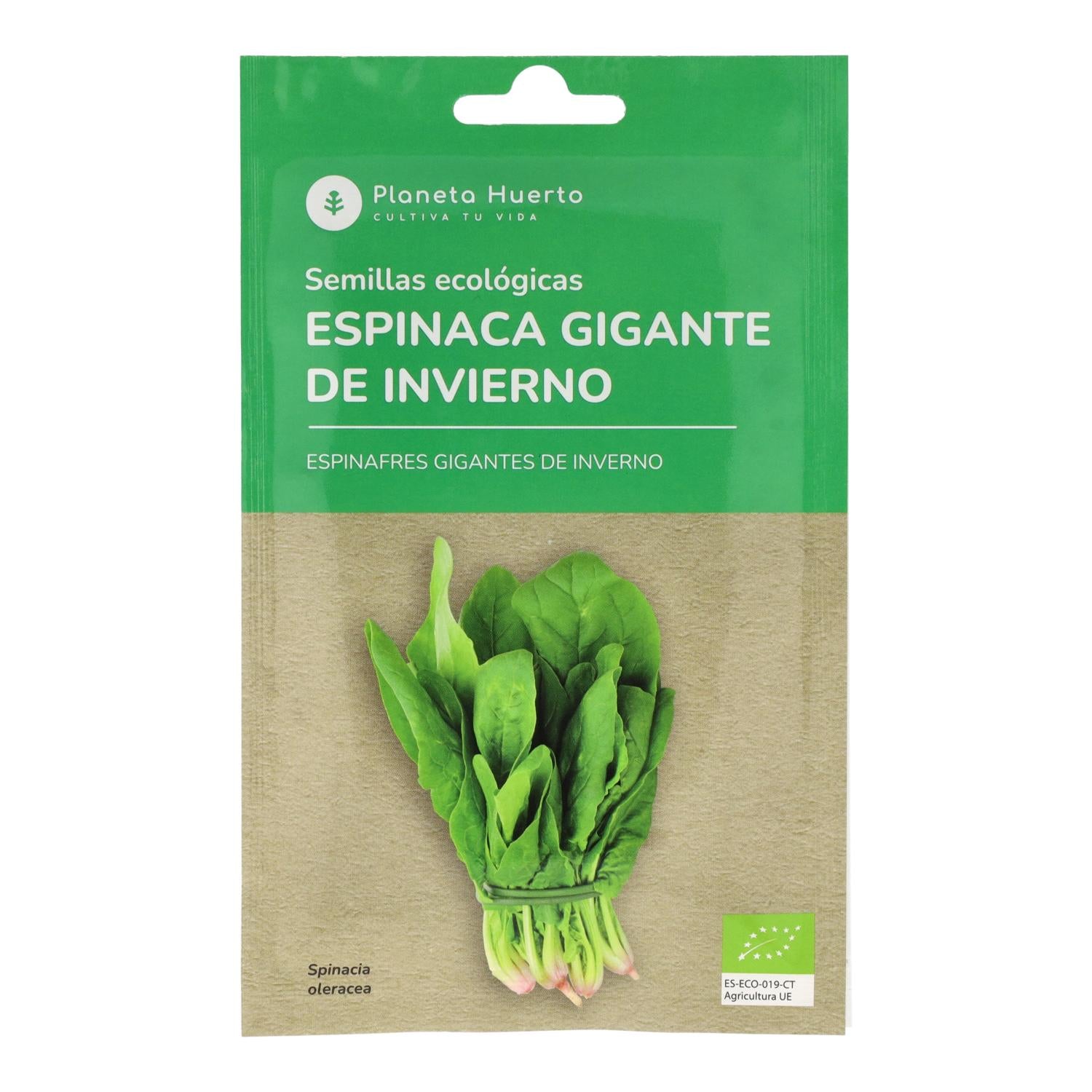 Semillas de Espinaca gigante de invierno ecológicas Planeta Huerto