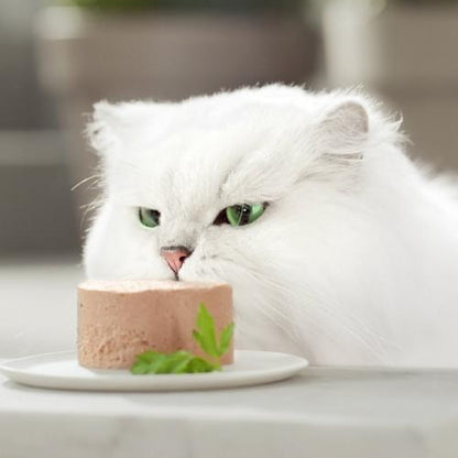 GOURMET GOLD Mousse Comida húmeda Salmon 85 g