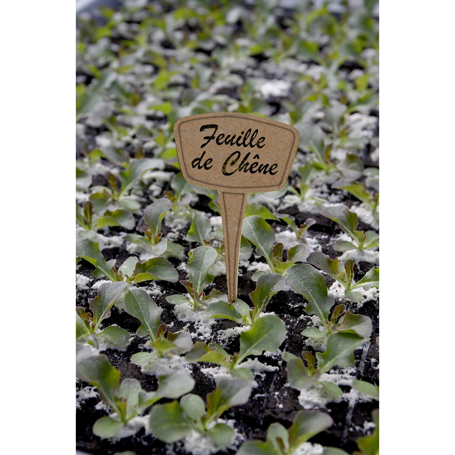 Pack 5 Etiquetas de plantación 30% Fibra Eco