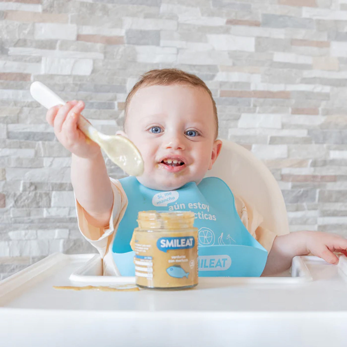 Pack 12x Tarrito BIO verduras y merluza +6 meses Smileat 230g