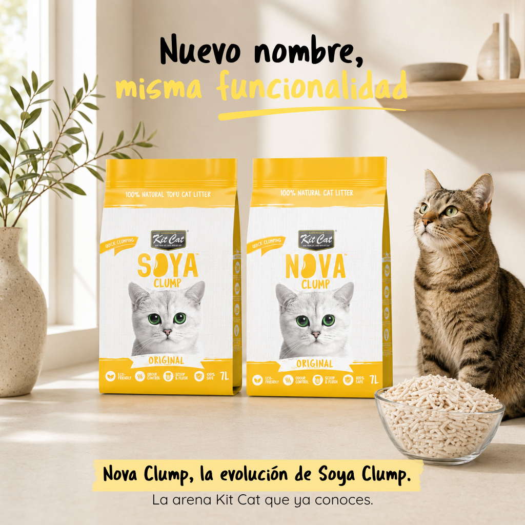 Kit Cat Arena Eco SoyaClump - Originale 7 L Sabbia per gatti