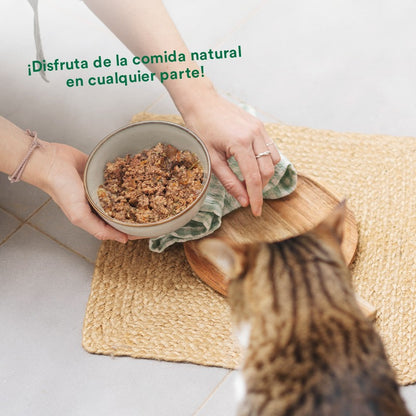 Pack Cerdo y verduras BARF para gatos 6 x 120 g Wild Balance