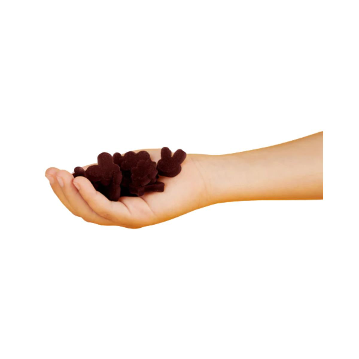 Snack de manzana y arándano ECO 25g, Triboo