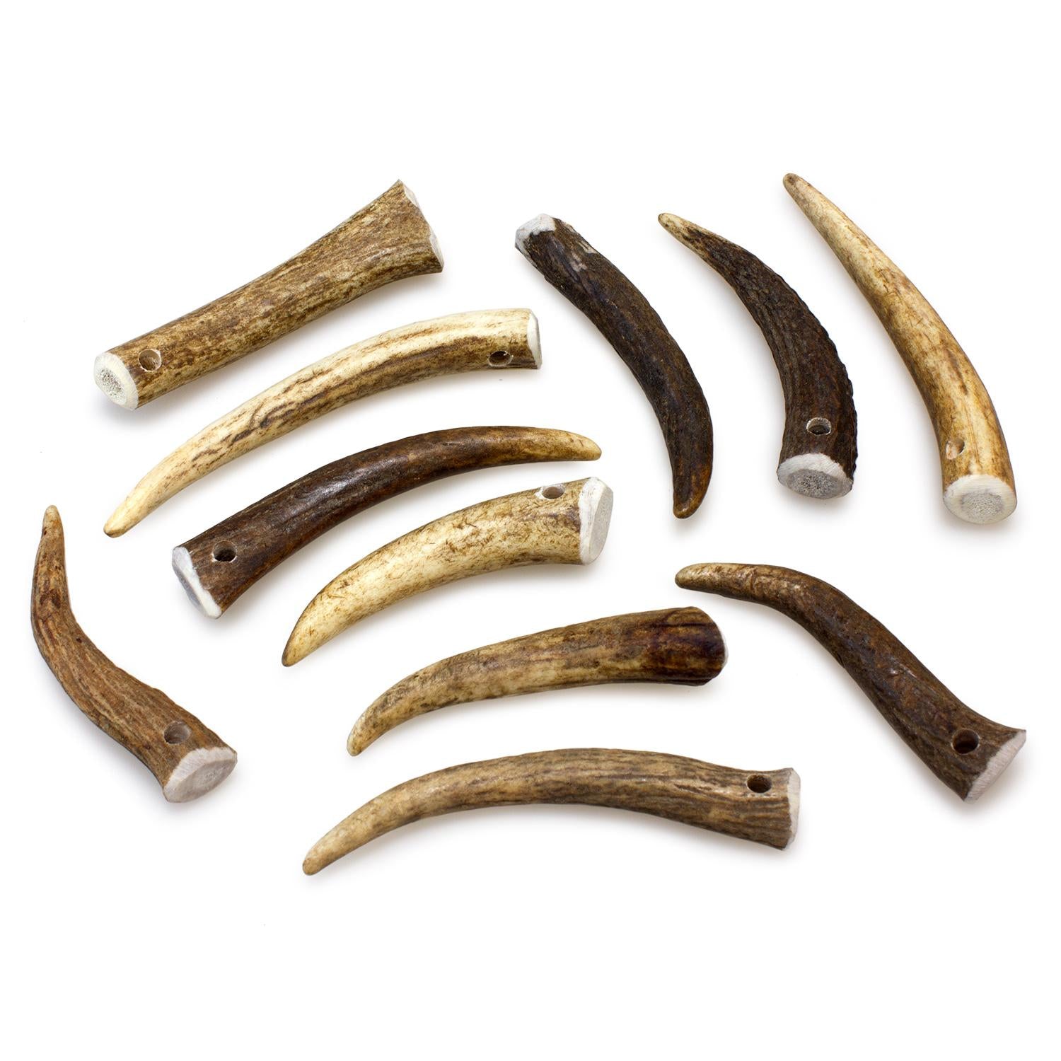 Asta de ciervo Mordedor natural para perros  Arquivet  S  15-39 g