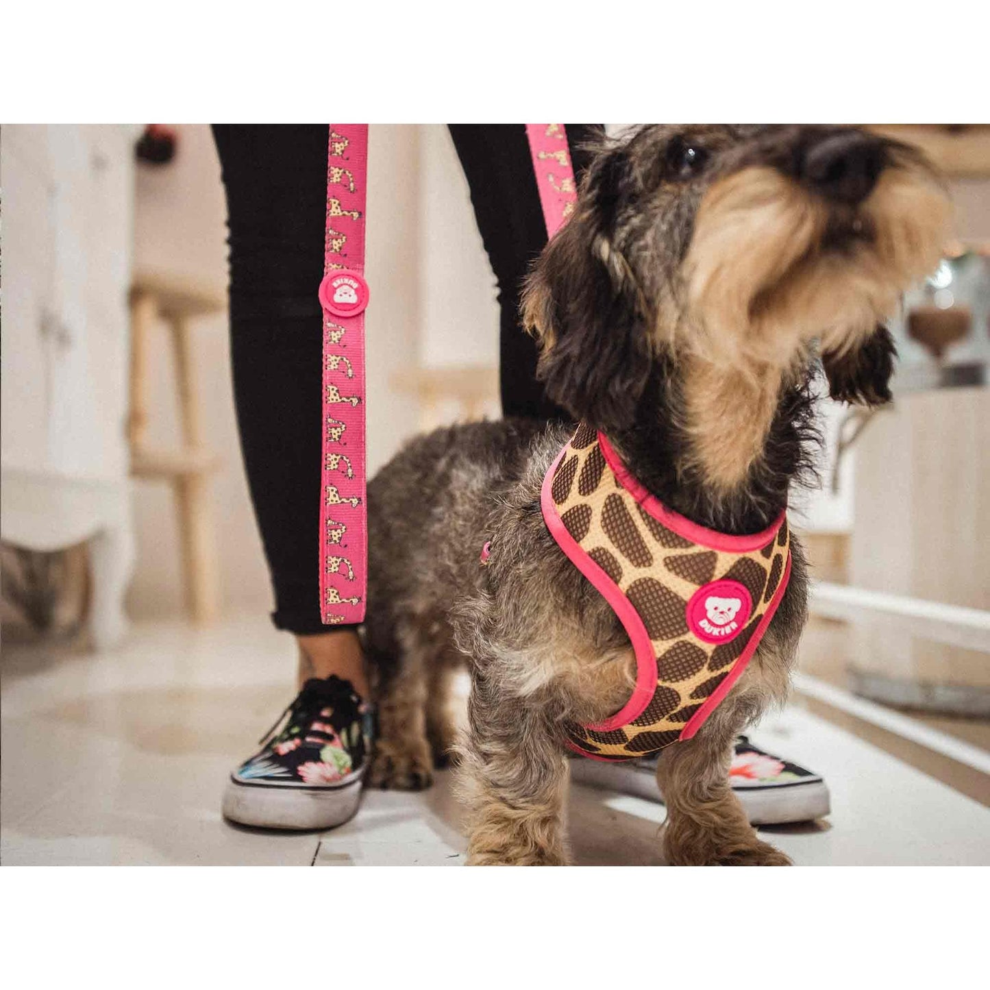 Arnés reversible para perro SAVANA Dukier L