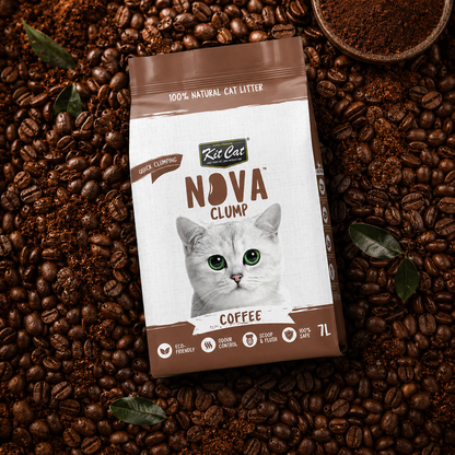 Kit Cat Arena Eco SoyaClump - Coffee 7 L Sabbia per gatti