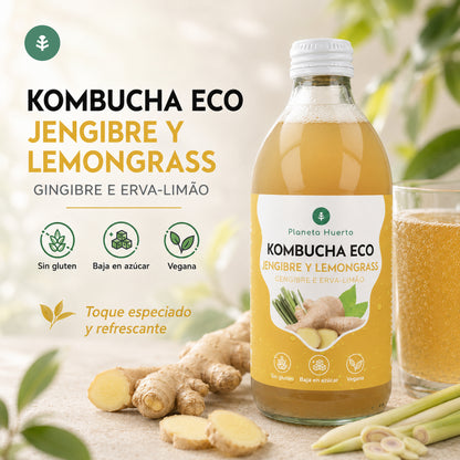 Kombucha ECO Zenzero e citronella Planeta Huerto 330 ml
