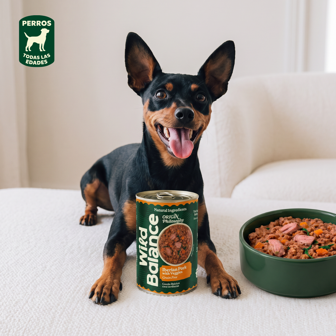 Barattolo di maiale e verdure BARF per cani Wild Balance 400 g