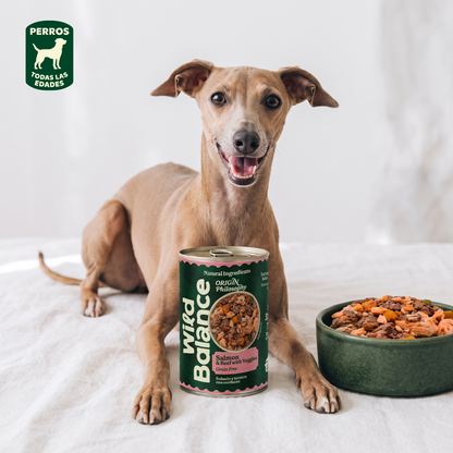 Lattina di salmone e manzo BARF per cani Wild Balance 400 g
