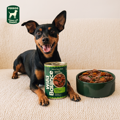 Confezione di carne di vitello barf per cani 6 x 400 g Wild Balance