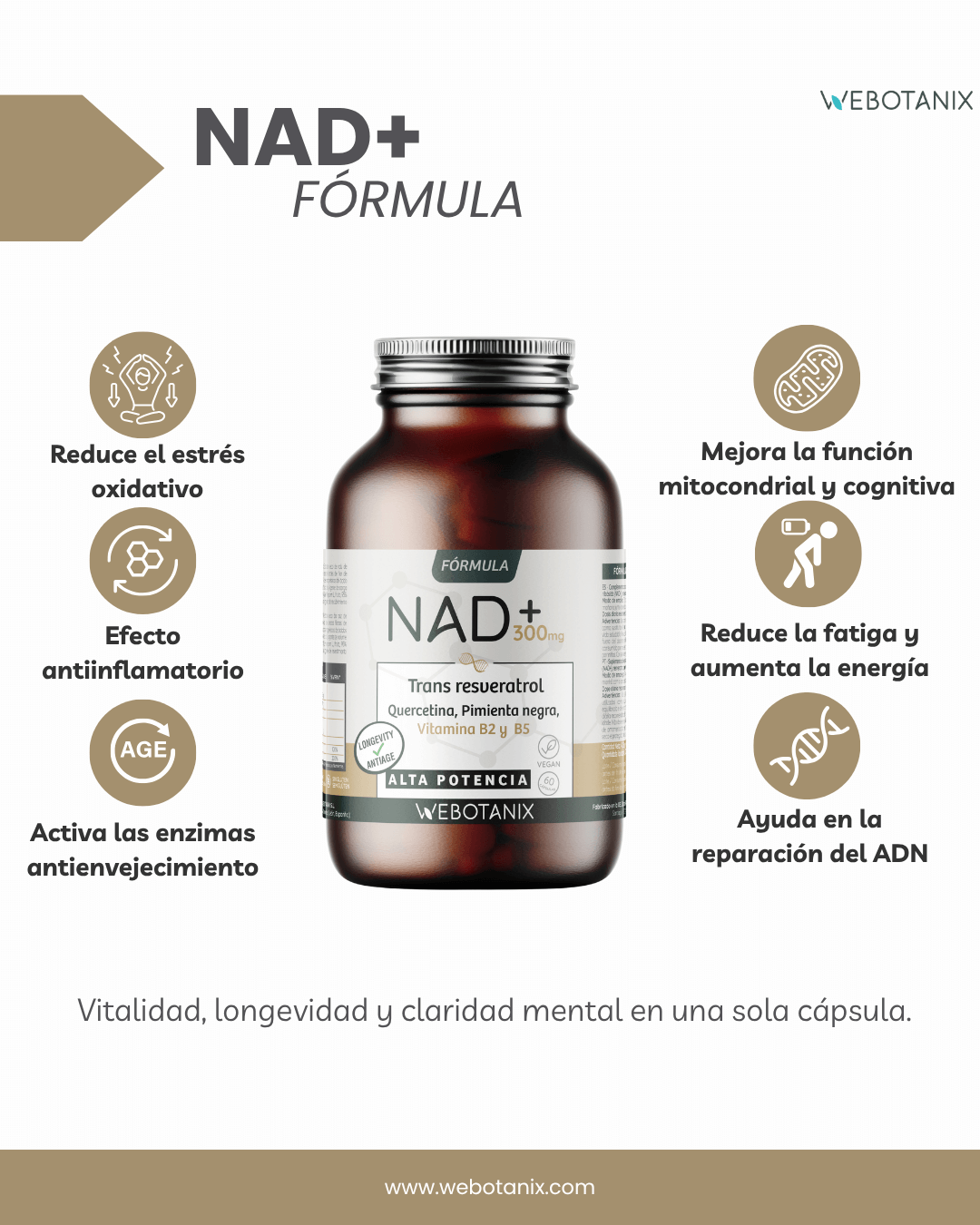 NAD+ 300 mg Trans Resveratrol WEBOTANIX 60 capsule