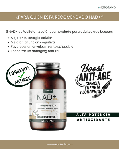 NAD+ 300 mg Trans Resveratrol WEBOTANIX 60 capsule