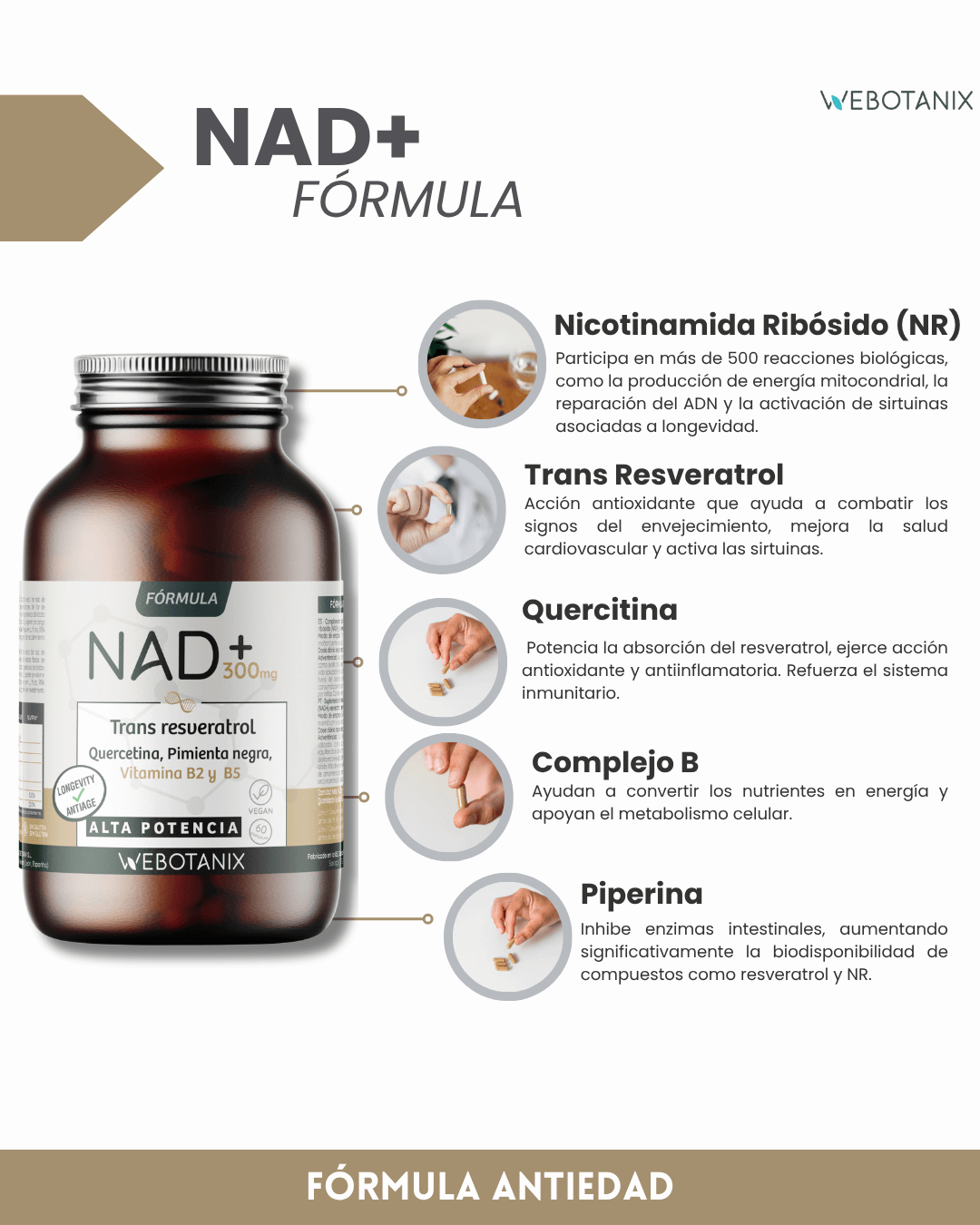 NAD+ 300 mg Trans Resveratrol WEBOTANIX 60 capsule
