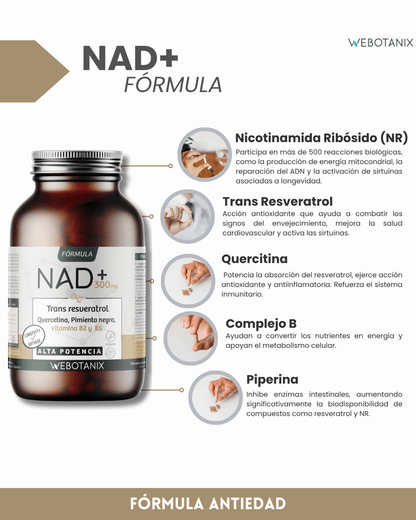 NAD+ 300 mg Trans Resveratrol WEBOTANIX 60 capsule