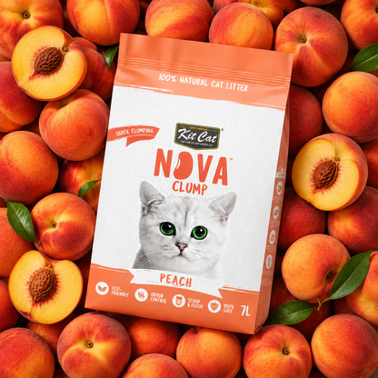 Kit Cat Arena Eco SoyaClump - Peach 7 L Sabbia per gatti