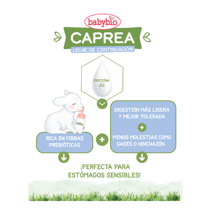 Confezione da 3 latte di capra crescita Caprea 3 (da 12 mesi a 3 anni) 800 g