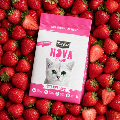 Kit Cat Arena Eco SoyaClump - Strawberry 7 L Sabbia per gatti