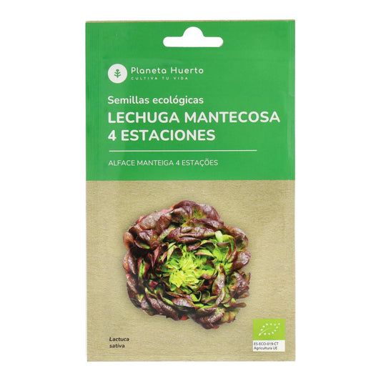 Semillas de Lechuga Mantecosa 4 estaciones ecológicas Planeta Huerto