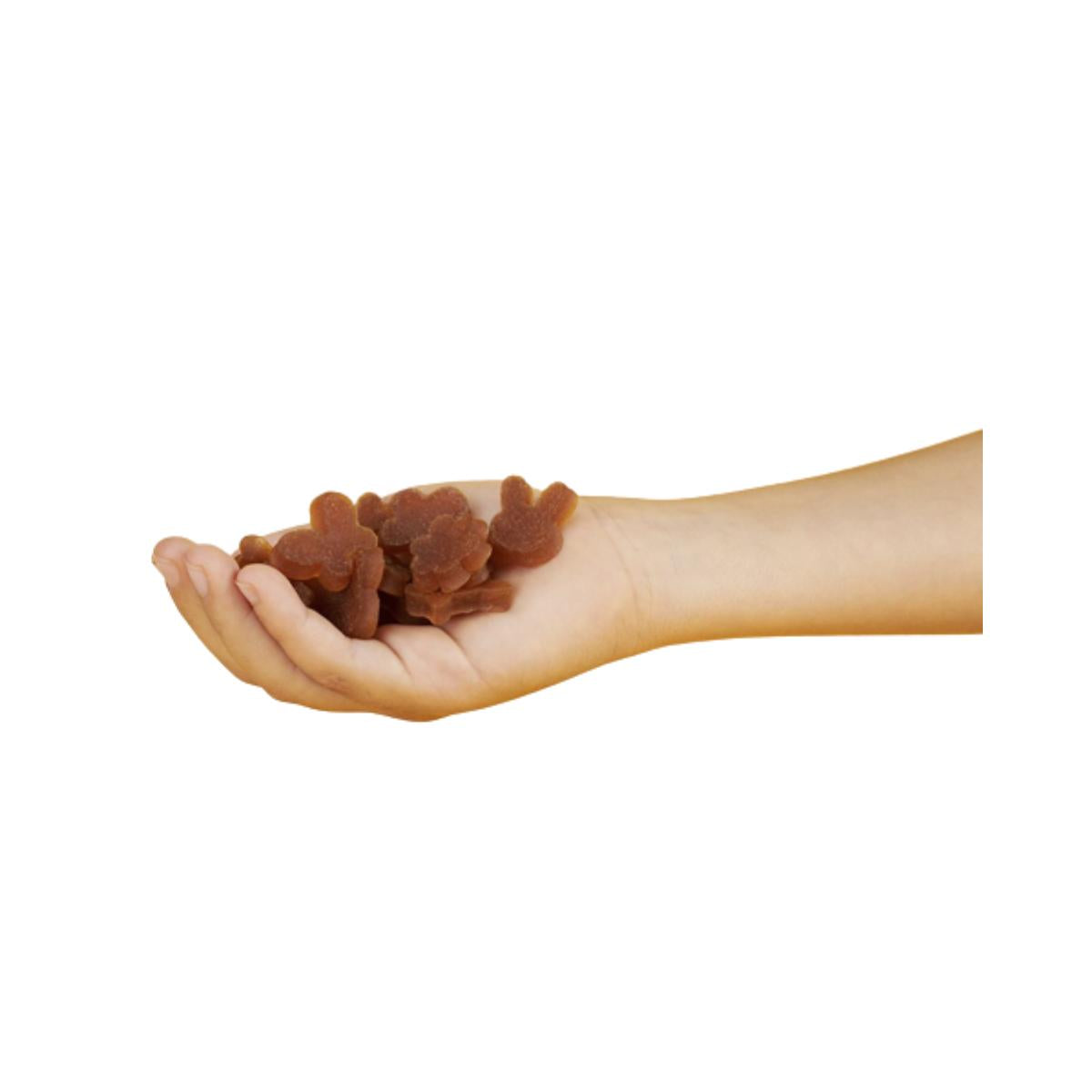 Snack de manzana ECO 25g, Triboo