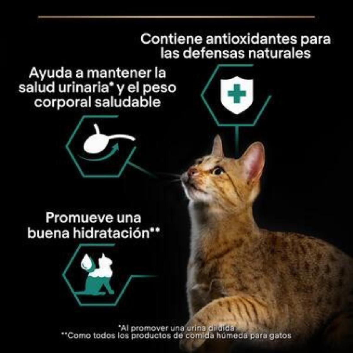 PURINA PRO PLAN Gato Húmedo ESTERILIZADO Terrine Bacalao Sobre 10 x 75g