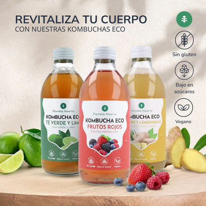 Pack 6x Kombucha ECO Frutos rojos Planeta Huerto 330 ml